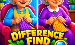 Difference Find Master Game