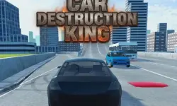 Car Destruction King
